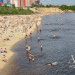 Наступило Жаркое Лето Наступило Жаркое Лето